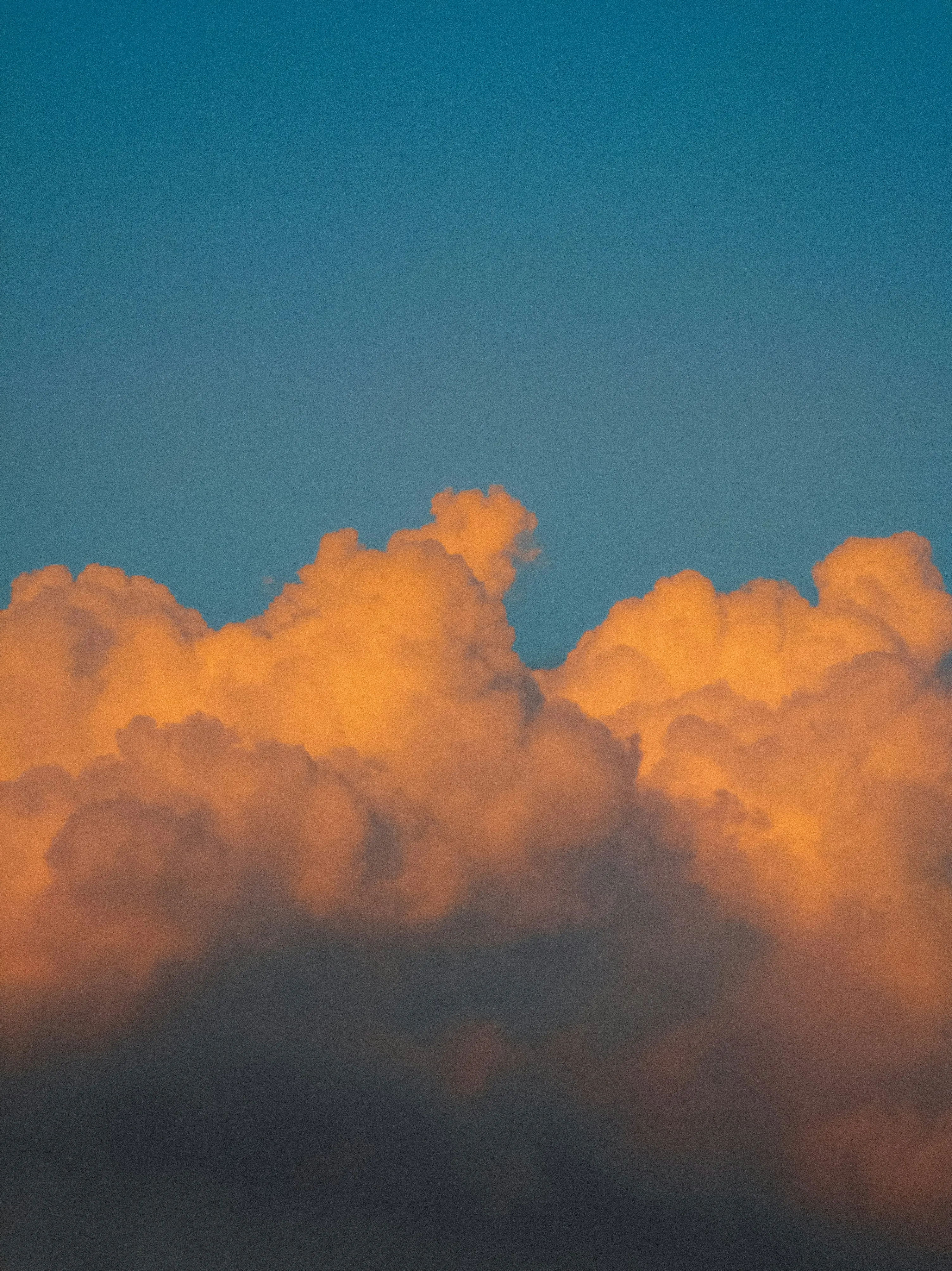 Sondine desktop app capturing and transcribing a live conversation